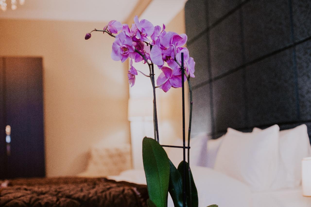 Viva Boutique Hotel Baku Zewnętrze zdjęcie